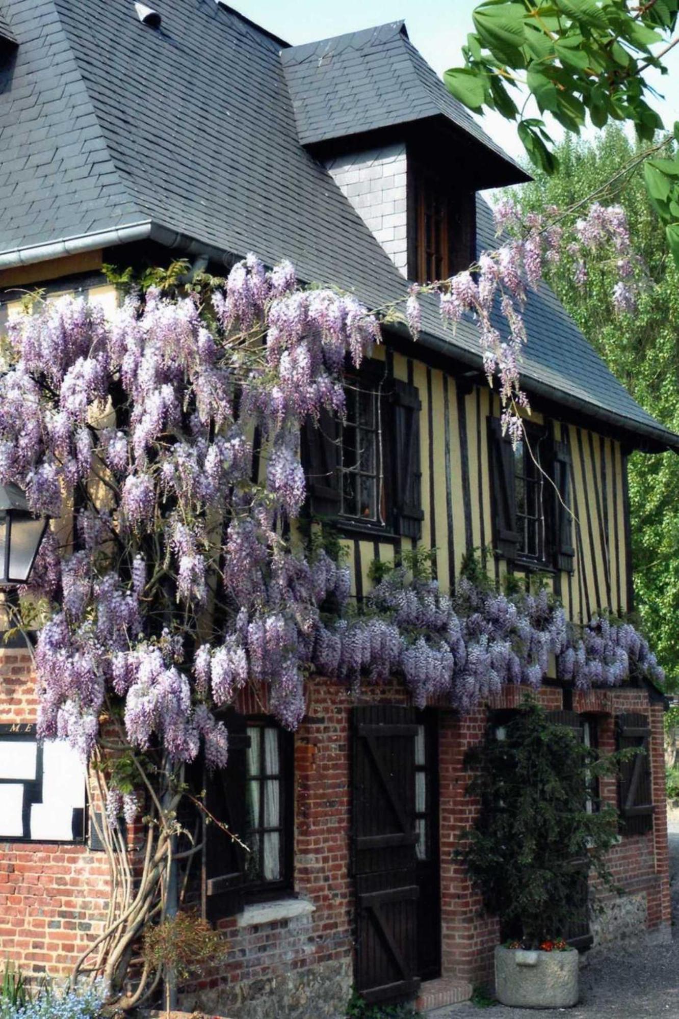 Auberge Du Val Au Cesne Saint-Clair-sur-les-Monts Εξωτερικό φωτογραφία