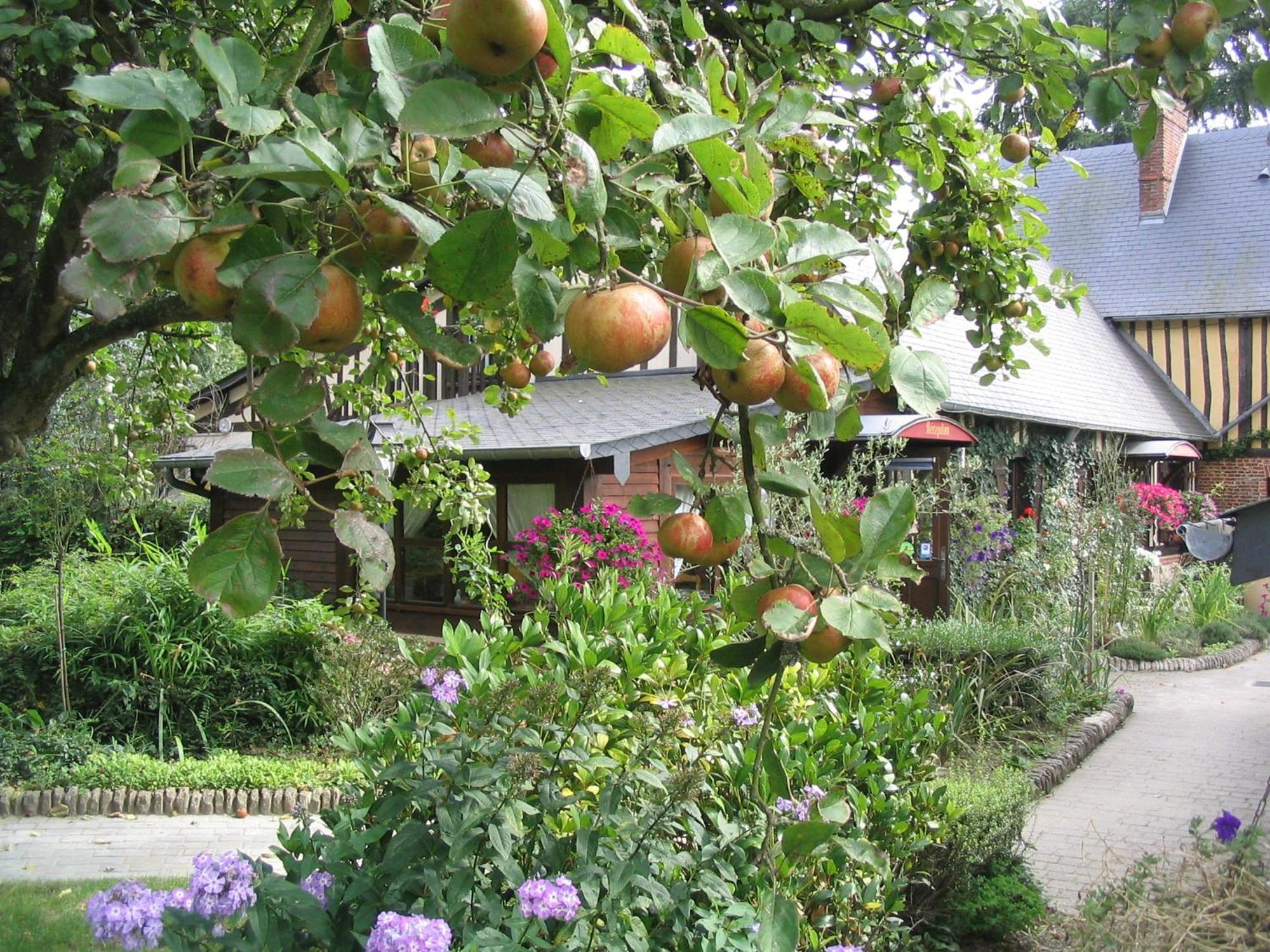 Auberge Du Val Au Cesne Saint-Clair-sur-les-Monts Εξωτερικό φωτογραφία